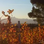 Cascina Torello Dogliani