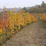 Cascina Torello