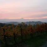 Cascina Torello Bed and breakfast Dogliani
