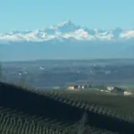 Cascina Torello * 多利亚尼