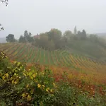 Cascina Torello