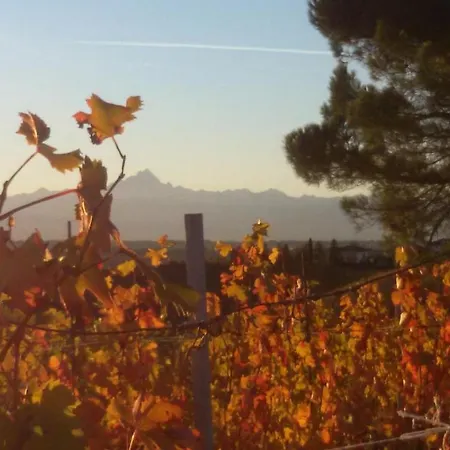 Cascina Torello Дольяни