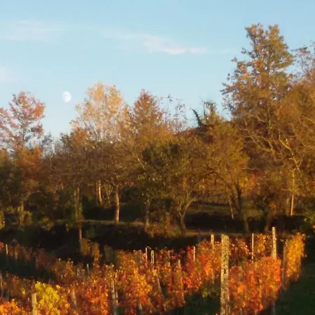 Cascina Torello Panzió Dogliani