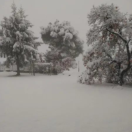 Cascina Torello * Дольяни