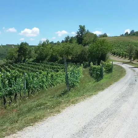 Bed & Breakfast Cascina Torello Dogliani
