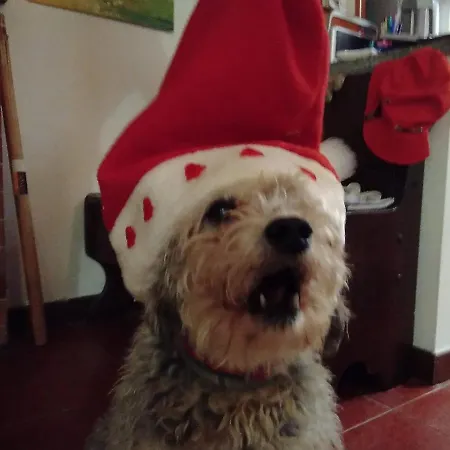 Cascina Torello Отель типа 