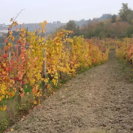 Cascina Torello