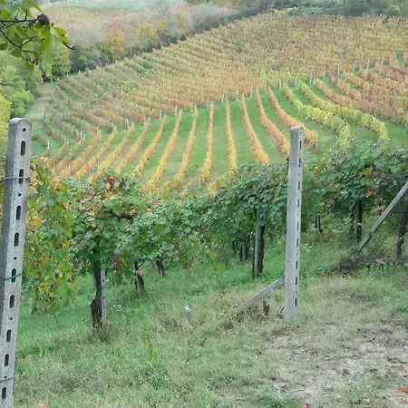 Cascina Torello *