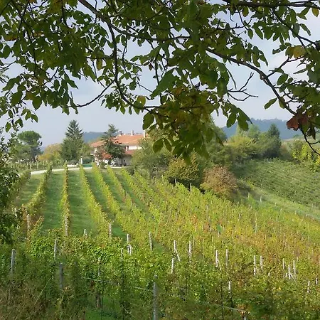 Cascina Torello * Дольяни