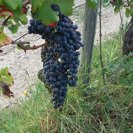 ベッド・アンド・ブレックファスト カッシーナ トレッロ