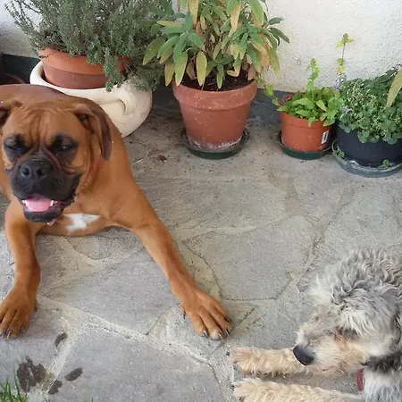 Cascina Torello Dogliani