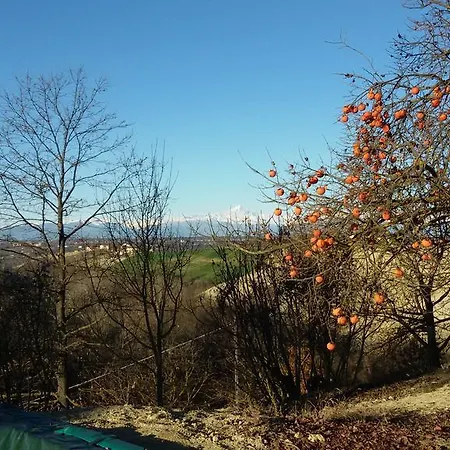 Panzió Cascina Torello