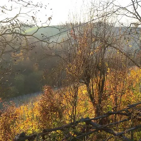 לינה וארוחת בוקר Cascina Torello דוליאני