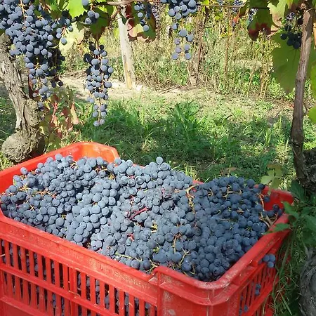 לינה וארוחת בוקר Cascina Torello *