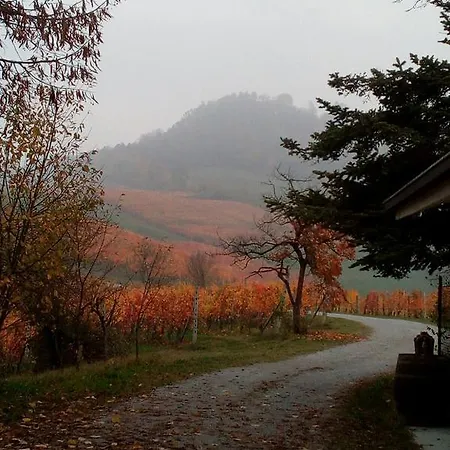 Cascina Torello Дольяни
