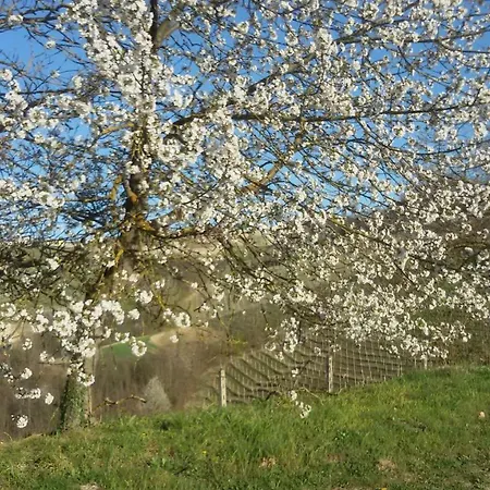 Bed & Breakfast Cascina Torello *