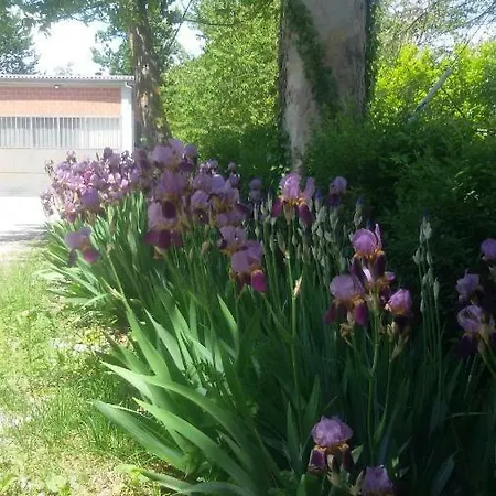 Panzió Cascina Torello *