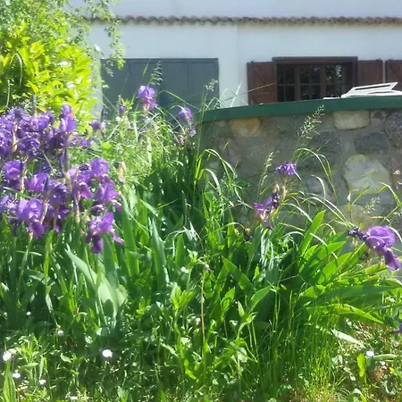 Cascina Torello * Дольяни