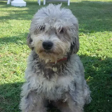 Cascina Torello Отель типа 