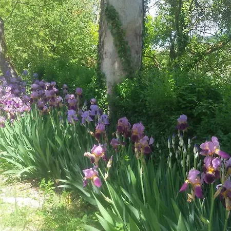 Cascina Torello * Дольяни