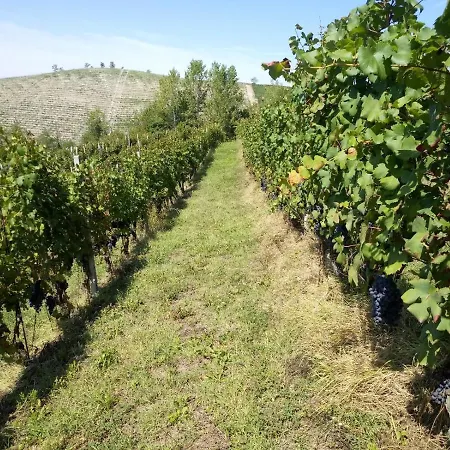 Panzió Cascina Torello Dogliani