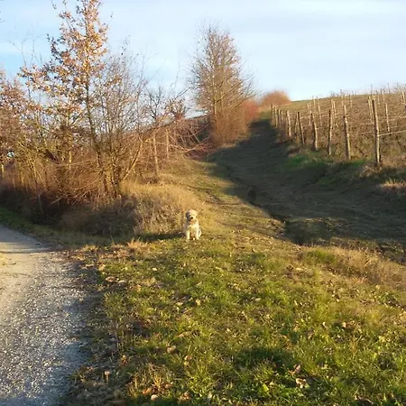 Bed & Breakfast Cascina Torello *