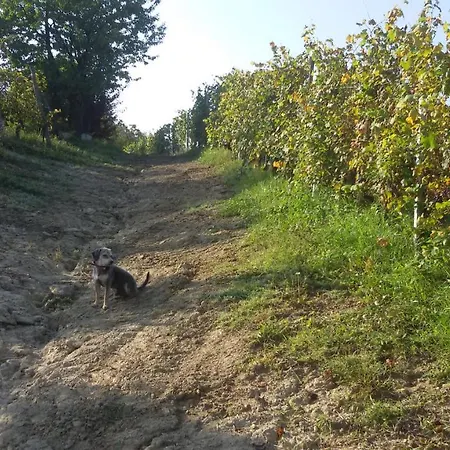 Cascina Torello