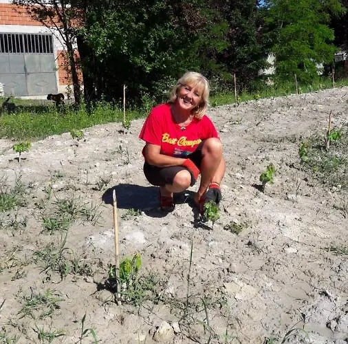 Cascina Torello Dogliani