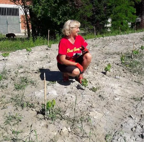 Cascina Torello Dogliani