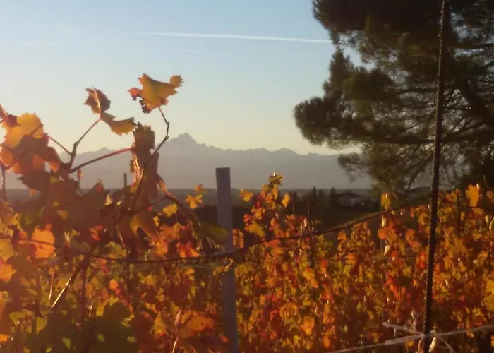 Cascina Torello Dogliani