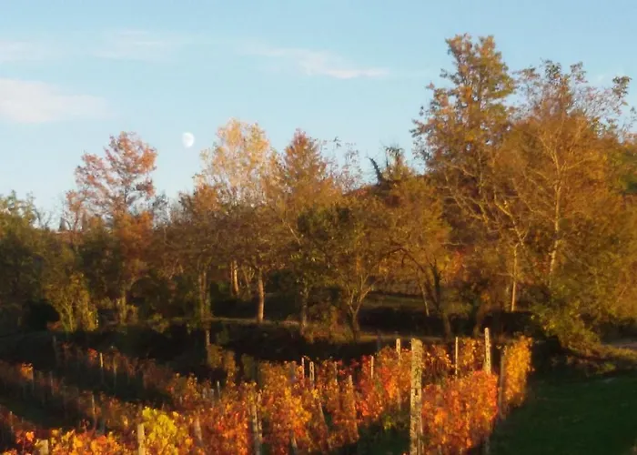 Cascina Torello Bed & Breakfast Dogliani