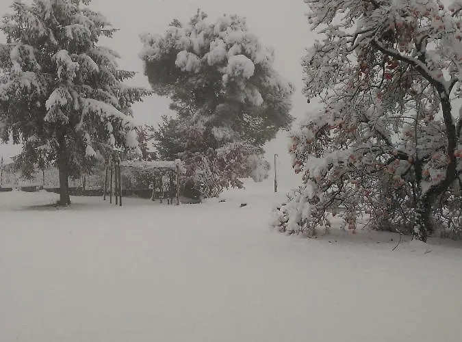 Cascina Torello * Dogliani