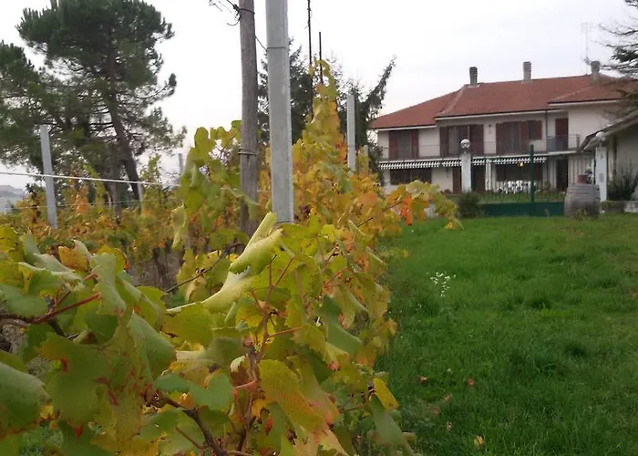 Bed & Breakfast Cascina Torello