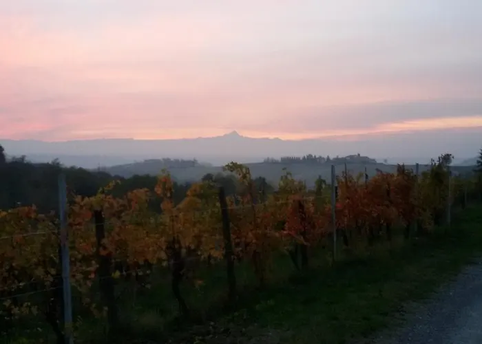 Cascina Torello Bed & Breakfast Dogliani