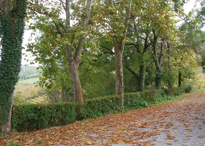 Cascina Torello Bed & Breakfast