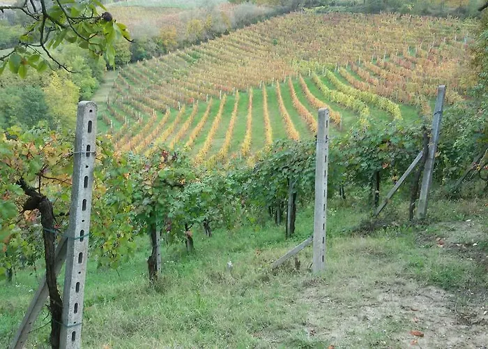 Cascina Torello *