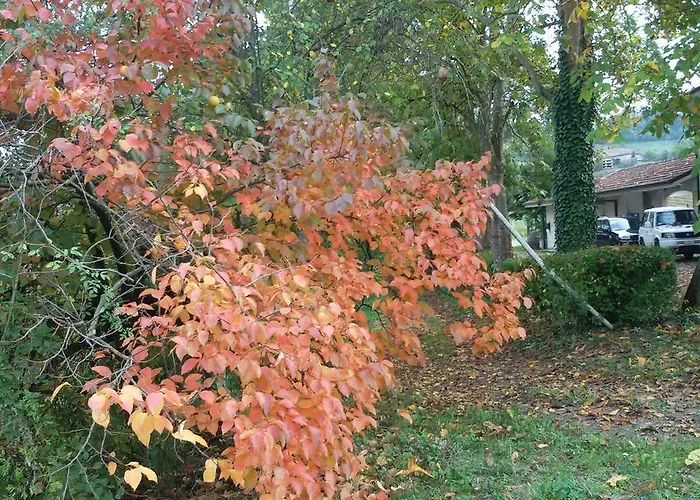 Cascina Torello * Dogliani