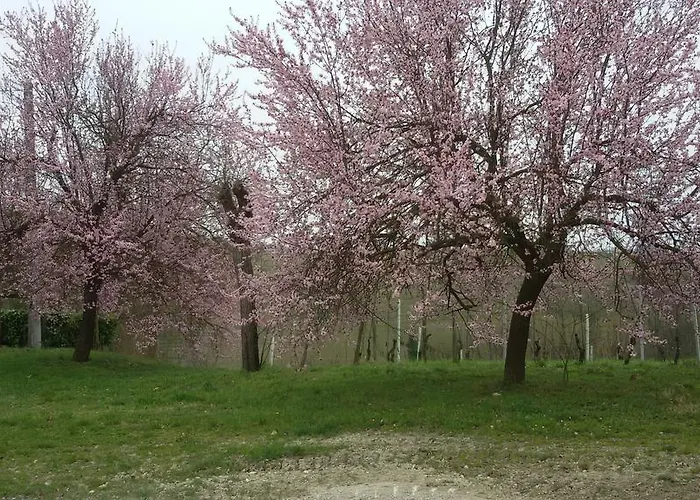 Bed & Breakfast Cascina Torello *