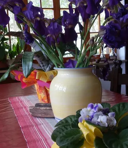 Cascina Torello Bed & Breakfast Dogliani