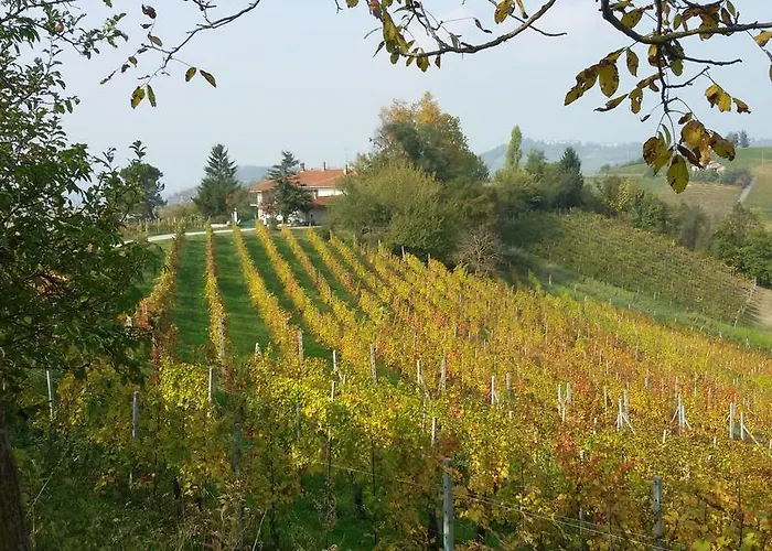 Bed & Breakfast Cascina Torello