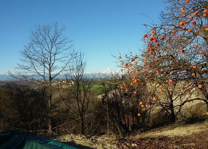 Bed & Breakfast Cascina Torello