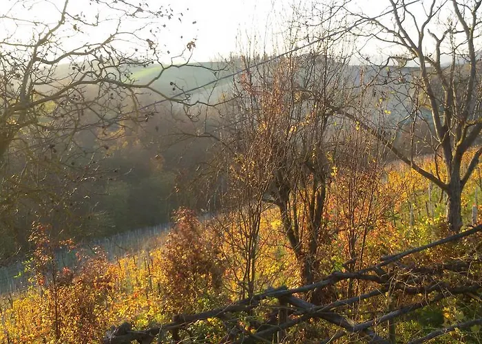 Bed & Breakfast Cascina Torello Dogliani