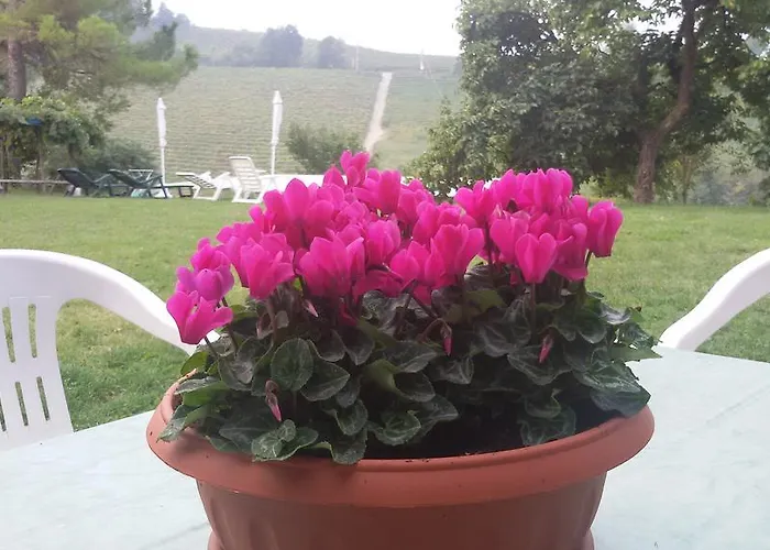 Cascina Torello Dogliani