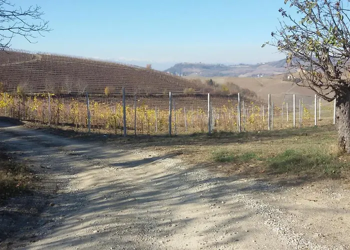 Cascina Torello Dogliani