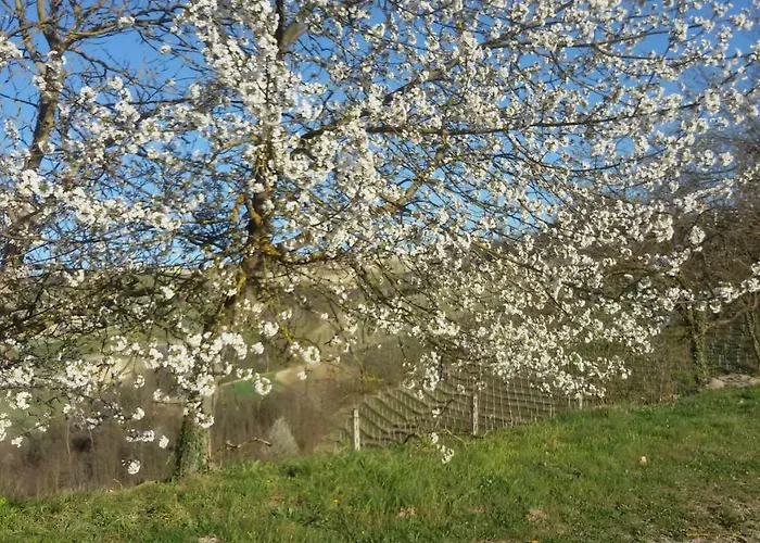 Bed & Breakfast Cascina Torello *