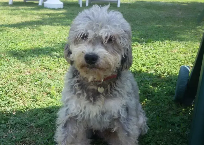 Cascina Torello Bed & Breakfast *