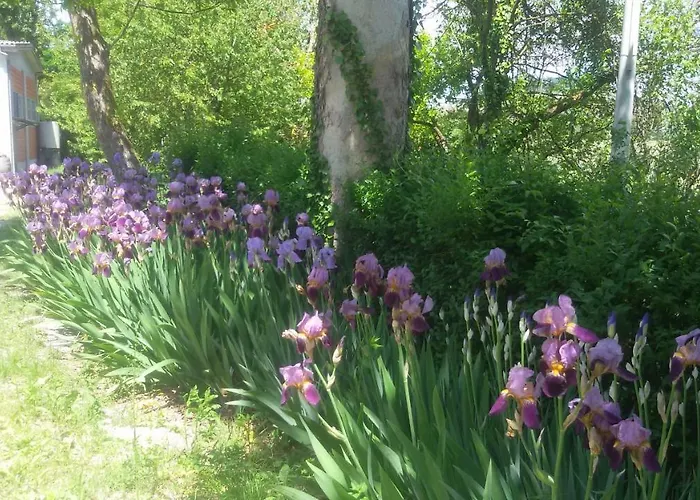 Cascina Torello * Dogliani