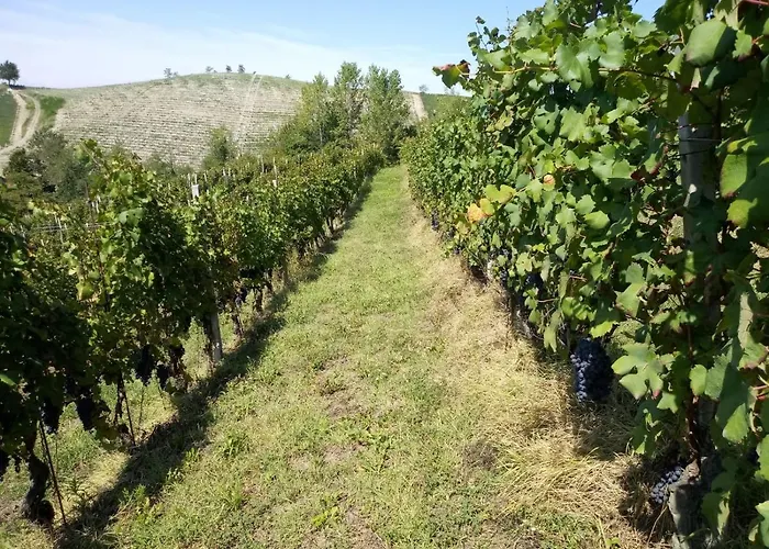 Bed & Breakfast Cascina Torello Dogliani