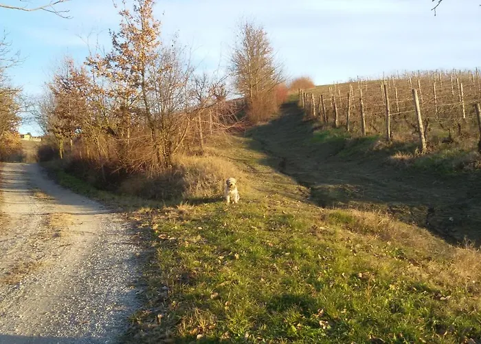 Bed & Breakfast Cascina Torello *