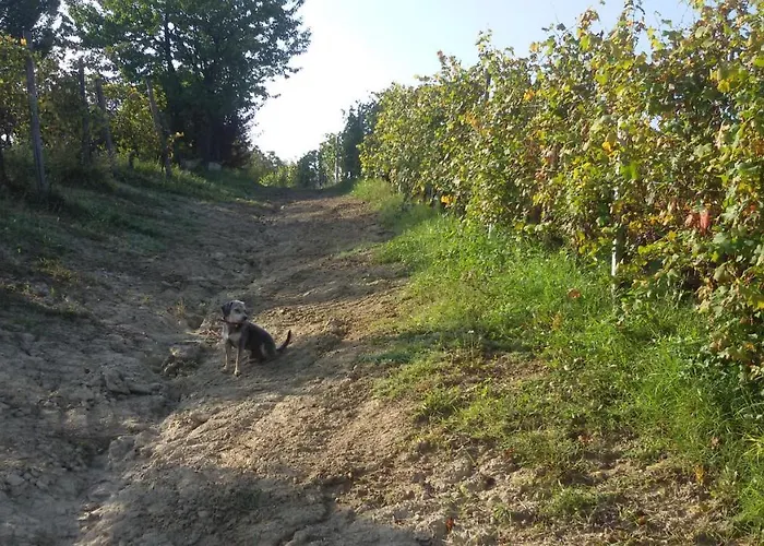 Cascina Torello